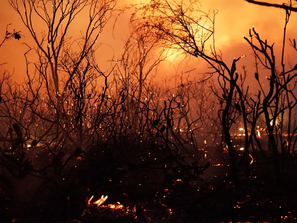 This past Summer saw record breaking temperatures around the world. Picture: Rob Griffith