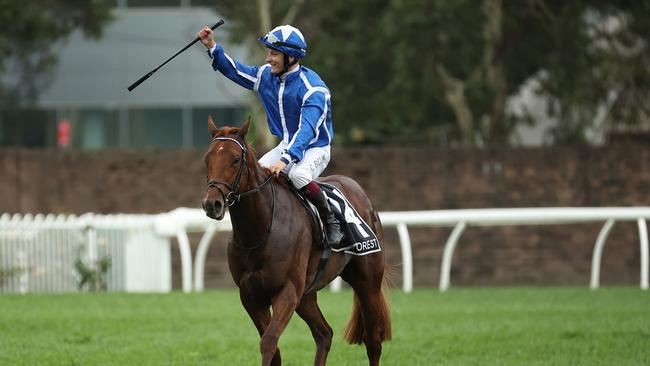 SYDNEY, AUSTRALIA - NOVEMBER 02: Cieren Fallon riding Lake Forest wins Race 8 James Squire Golden Eagle during Golden Eagle Day at Rosehill Gardens on November 02, 2024 in Sydney, Australia. (Photo by Jeremy Ng/Getty Images)