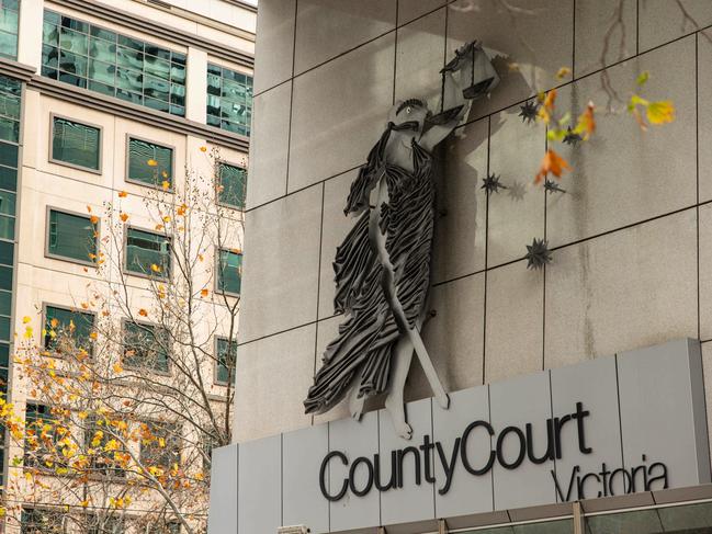 The County Court has sent Melbourne man Hongyun Wang to jail for importing hundreds of child abuse images.