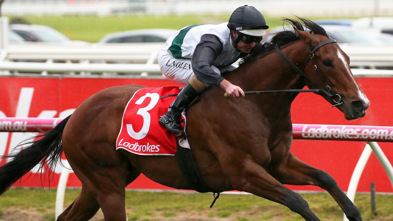 Smart Elissim has been trialling well heading into his first-up run at Flemington. Picture: AAP