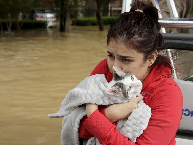 Jannett Martinez holds her cat Gigi as she rides a boat out of her neighborhood which was inundated after water was released from nearby Addicks Reservoir when it reached capacity due to Tropical Storm Harvey on Tuesday, Aug. 29, 2017, in Houston, Texas. Picture: AP