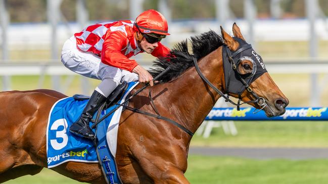 Sir Sway, ridden by Lachlan Neindorf, wins at Morphettville last start. Picture: Makoto Kaneko