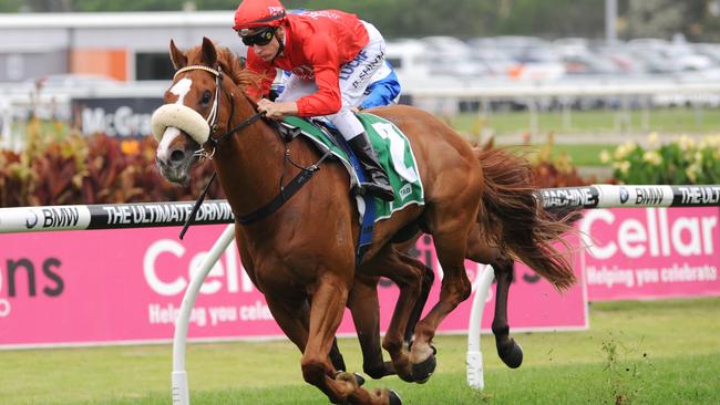 Winning combination Blake Shinn and Dothraki taste success at Rosehill. Picture: Simon Bullard