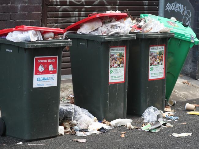 Overfilled bins in the Inner West