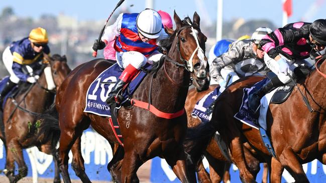 Former Kiwi mare Cindy Falls can bounce back to winning form when she heads to Flemington on Saturday. Picture: Getty Images.