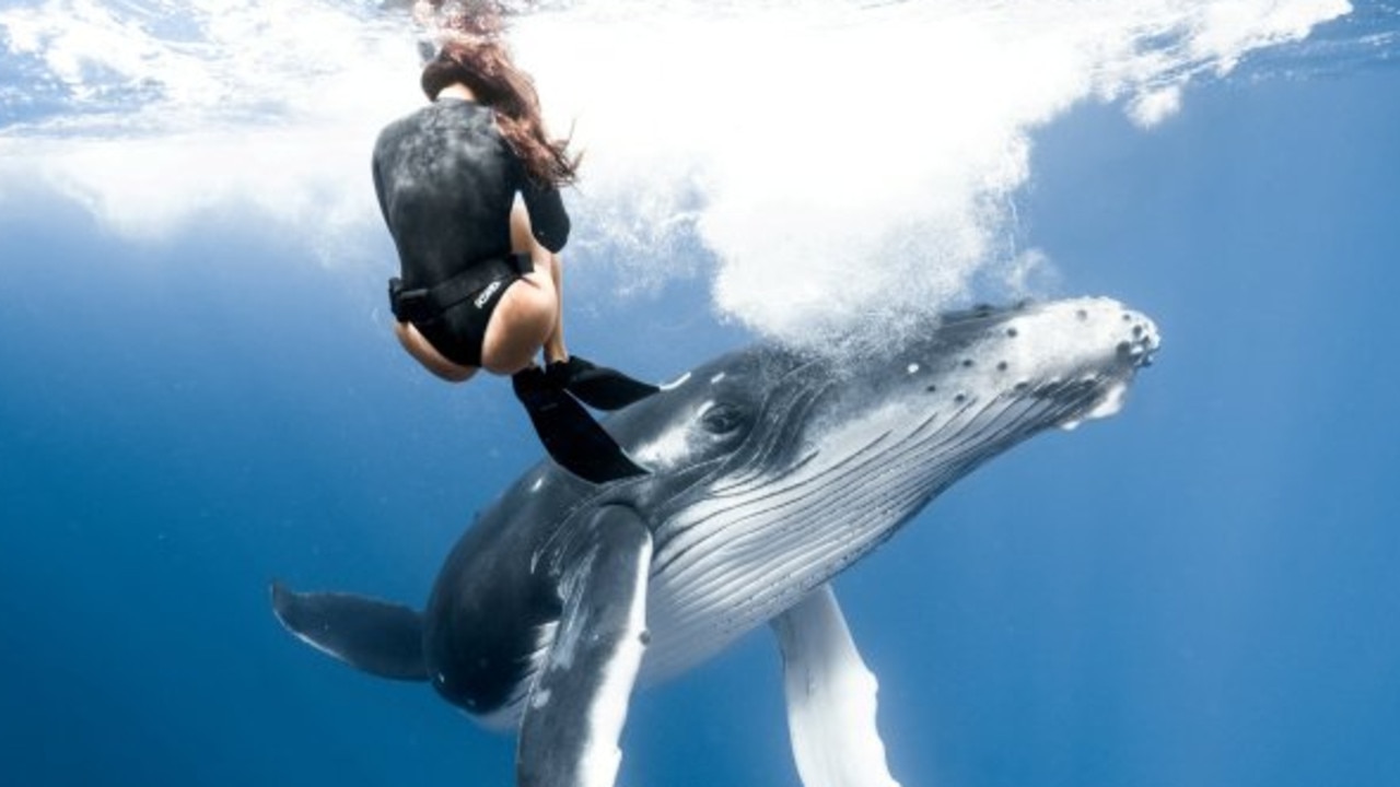 Yanna avoided hitting the baby whale with her flippers as she swam away. Picture: Mega