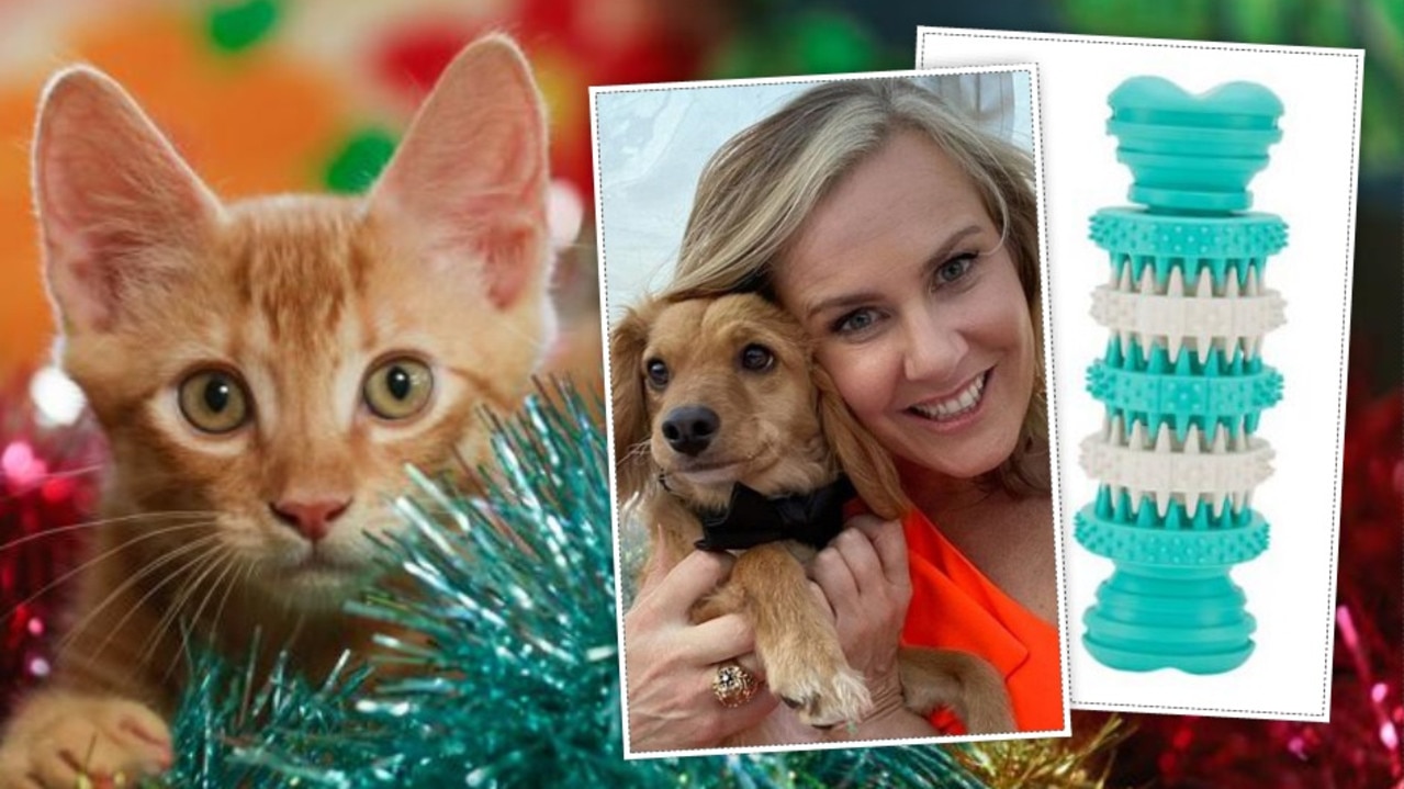 Pet owners are being urged to be extra vigilant when buying four-legged friends gifts this Christmas. Your Vet Online’s Dr Leigh Davidson said toys too small or cheaply made – increasing the chances of being brittle and breakable – could prove fatal for your pet.