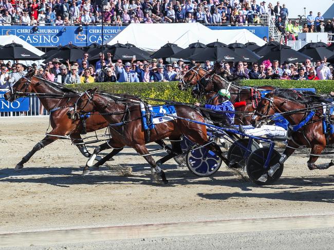 New Zealand Cup: winner Cruz Bromac