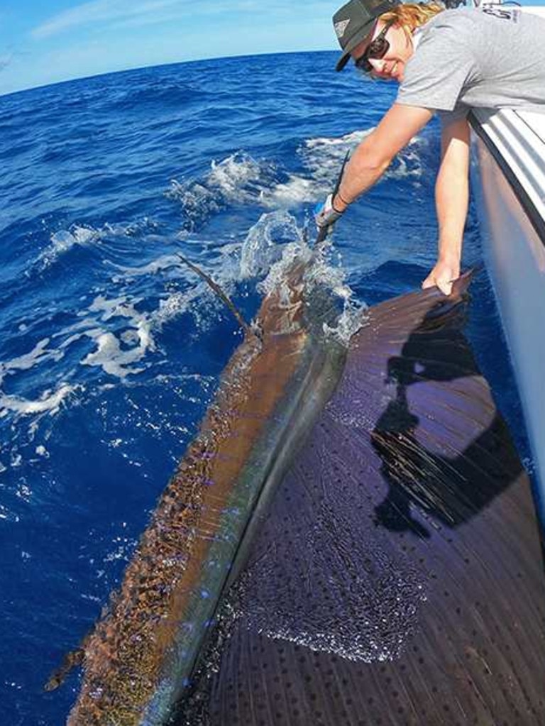 GOTCHA – Dave Leonard and his mate Nick Jones (pictured) caught and released a few nice sailfish on a recent trip out wide off Noosa. Photo: www.fishingnoosa.com.au