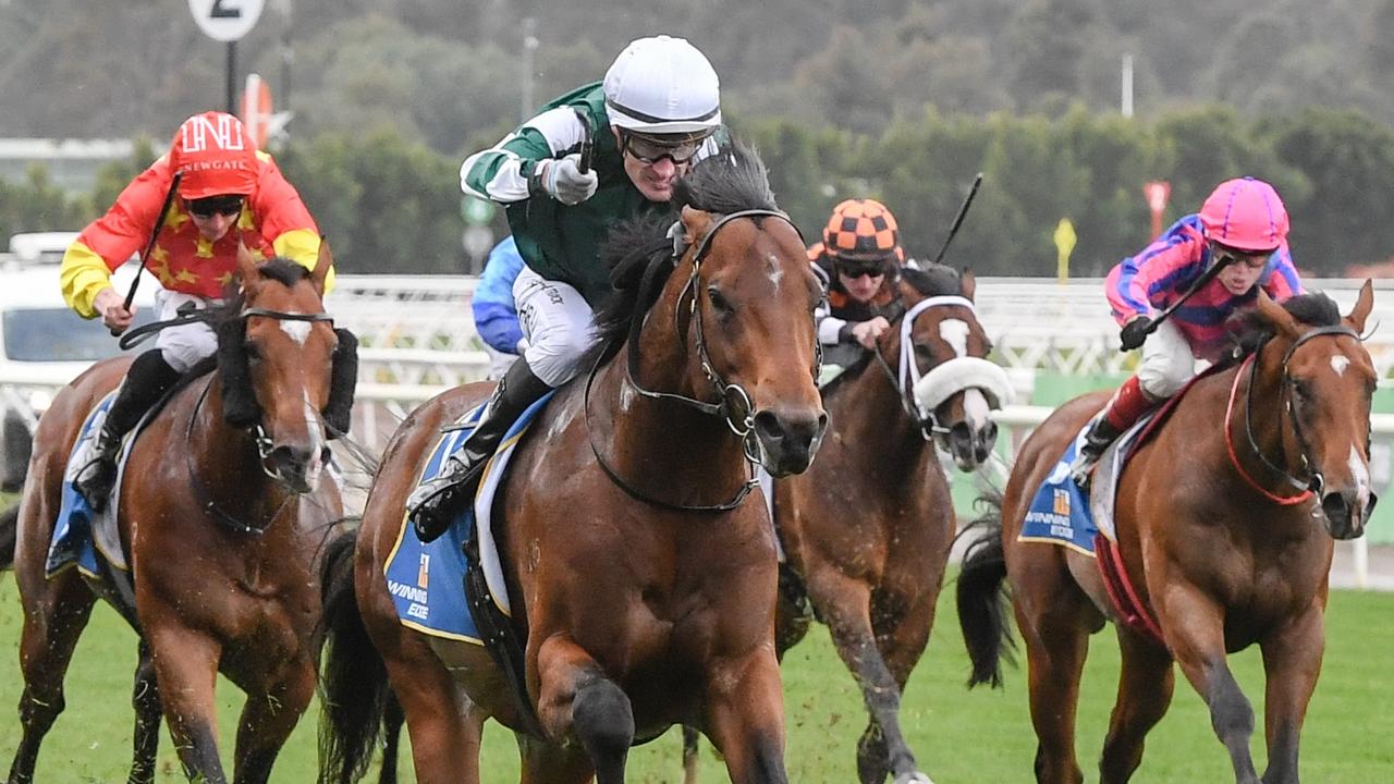 Growing Empire will have the blinkers taken off and be ridden with cover in the Newmarket Handicap on Saturday. Picture: Brett Holburt/Racing Photos via Getty Images