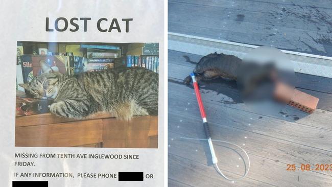 Sickening end to family’s missing cat saga