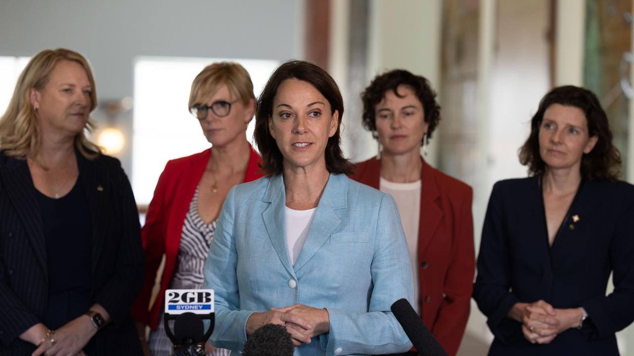 The Liberal Party lost six seats to independents who campaigned heavily on climate action after the 2022 election. Picture: Gary Ramage/NCA NewsWire.