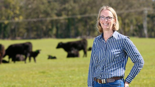 Food and Fibre Great South Coast chair, and western district cattle farmer, Georgina Gubbins, says regional Australia will continue to miss out if rules around energy infrastructure don’t change. Picture: ANDY ROGERS