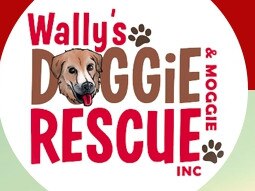 Cathy Arman, who founded Wally’s Doggie Rescue, has died.