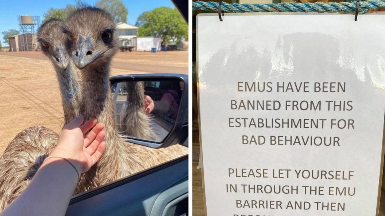 Kevin and Carol are famous in Yaraka. Picture: Supplied