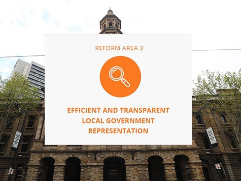 LGA reform, survey 3. Representation.