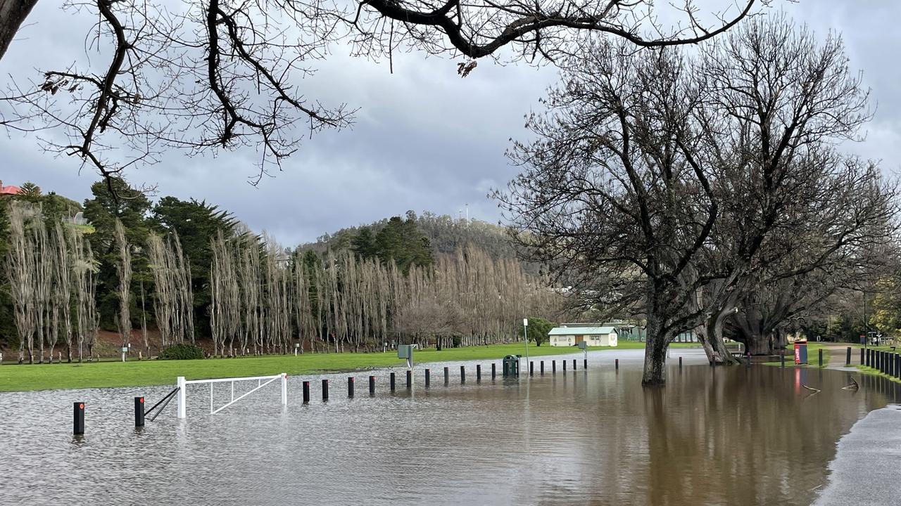 Flooded parklands in New Norfolk. Picture: Genevieve Holding