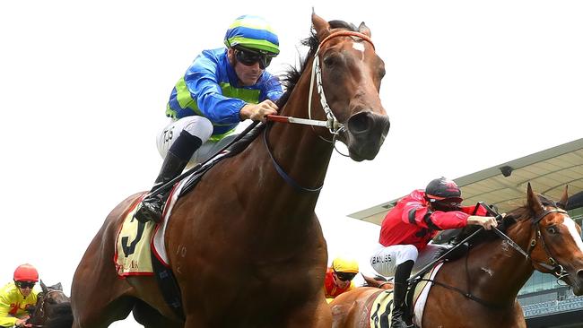Tyler Schiller riding colt Gallo Nero to victory at Royal Randwick last December. Picture: Getty Images