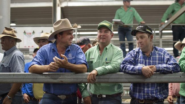 Record weaner prices were all the talk at Wodonga on January 6. Picture: Zoe Phillips