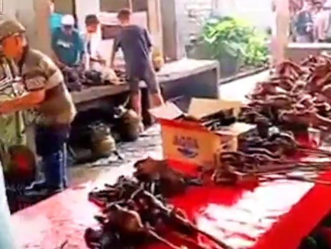 Wuhan’s Huanan Seafood Wholesale Market, a “wet market’’ where exotic animals are kept alive in cages, and butchered for meat.