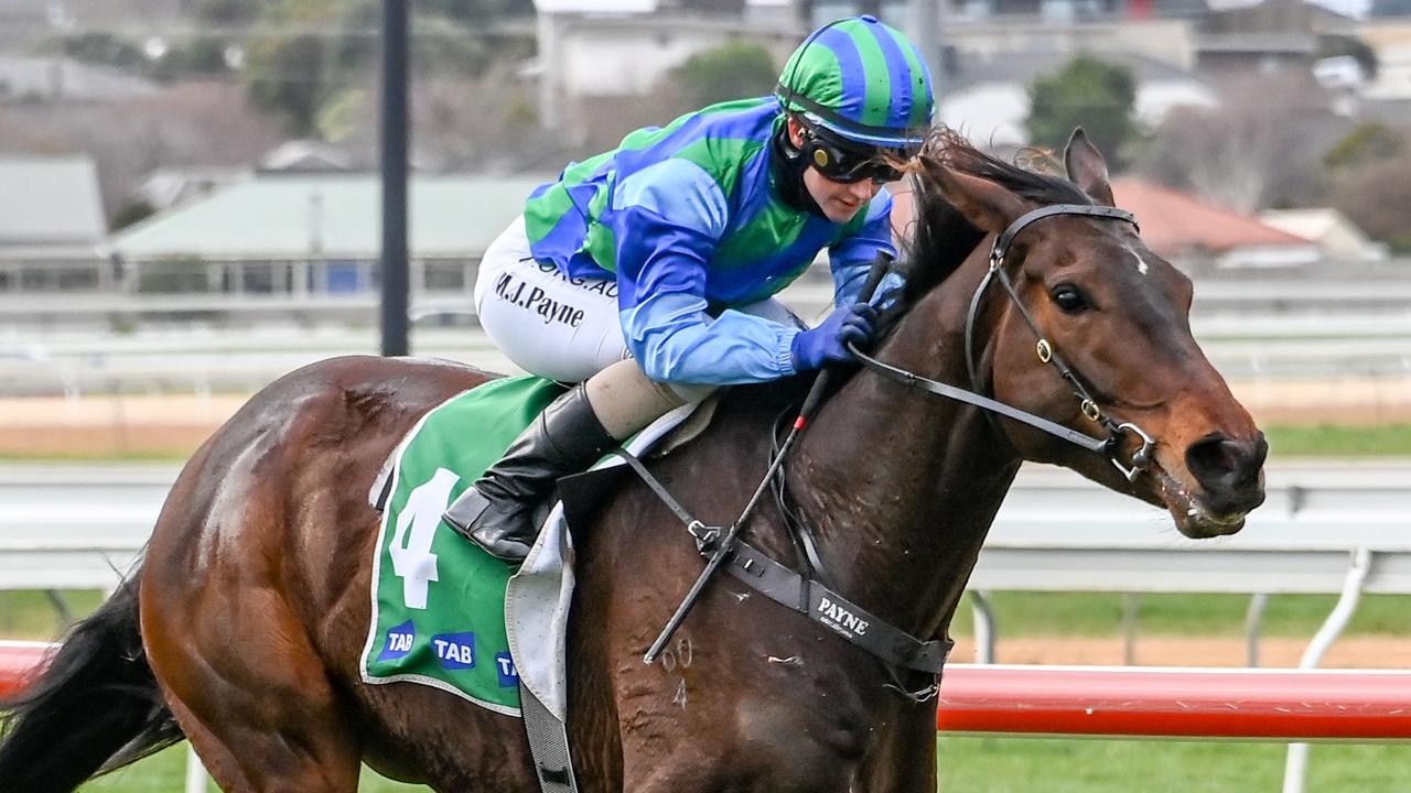 Melbourne Cup winner Michelle Payne charged by stewards over positive ...