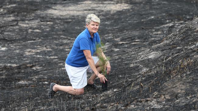 Community leader Lyn Wright from Friends of Federation Walk. Picture: Glenn Hampson.