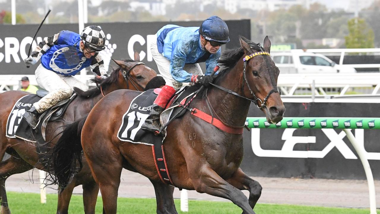 ‘Massive for us’: Ecstatic trainers secure Melbourne Cup ticket