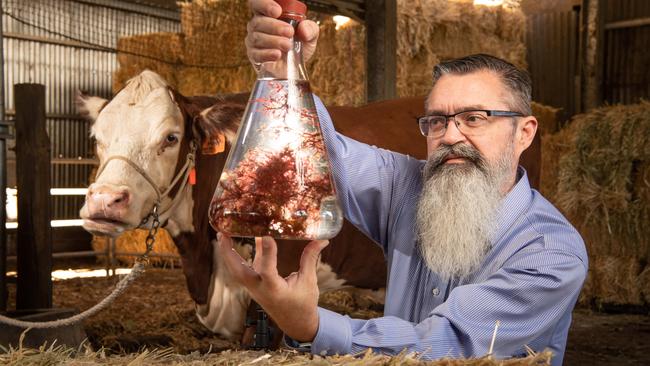 Dr Steve Meller from CH4 Global pictured at Urrbrae Agricultural High School. Picture: Brad Fleet