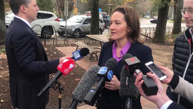 Voters didn’t blame those caught in dual-citizenship ‘crisis’: Downer