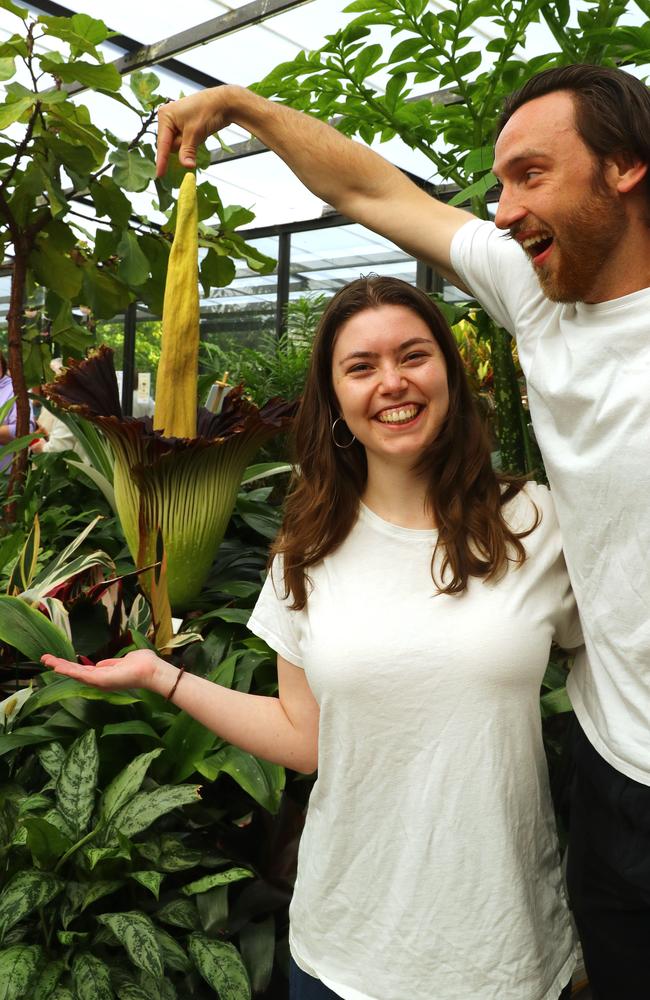 Lilian Hudson who was up at 5am to see the corpse flower with Jordan Dennis and at the Geelong Botanic Gardens. Picture: Alison Wynd