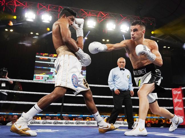 Andrew Moloney attacks Elton Dharry at Margaret Court Arena (AAP Image/Michael Dodge)