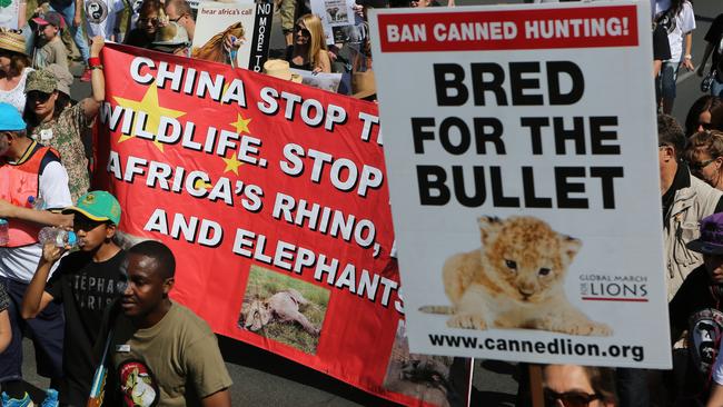 Activists march to the Convention on International Trade in Endangered Species of Wild Fauna and Flora, in Sandton, Johannesburg. Picture: AP Photo/Denis Farrell