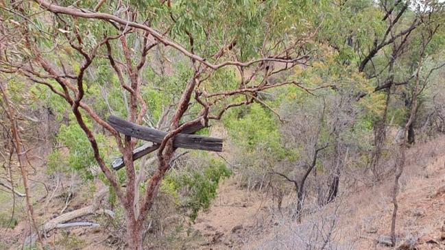 Other suspected "yowie markings" have also been found, such as old railway sleepers high in the treetops. PICTURE: SUPPLIED