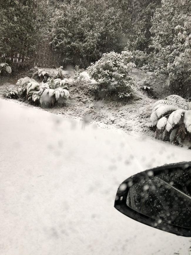 Snow on the road at Fern Tree. #snowbart2020, Snow in Hobart.