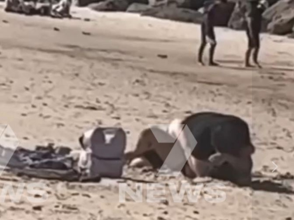 Couples bizarre act in broad daylight stuns Adelaide beachgoers news.au — Australias leading news site