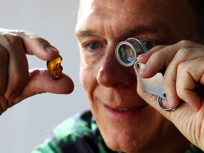 3/04/20 Monash University associate professor Jeff Stilwell with a piece of amber believed to be around 41 million years old which was uncovered in Victoria.  Aaron Francis/The Australian