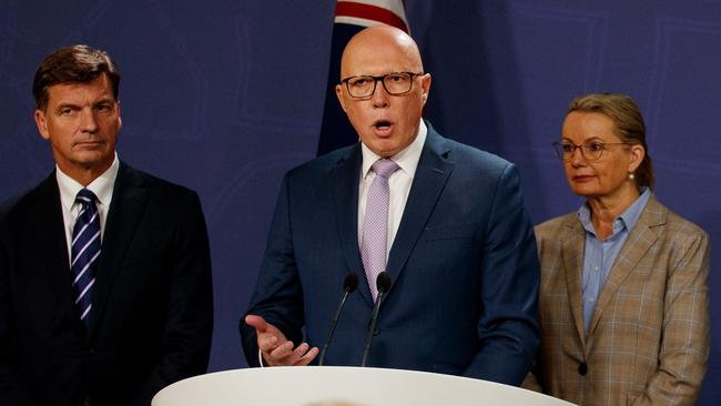 Both Angus Taylor and Sussan Ley are in the frame to replace ousted former opposition leader Peter Dutton. Picture: Nikki Short