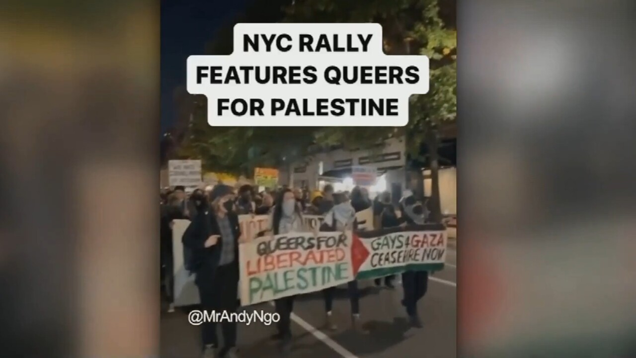 ‘Self-loathing stupidity’: Sky News host slams ‘Queers for Palestine’ protesters