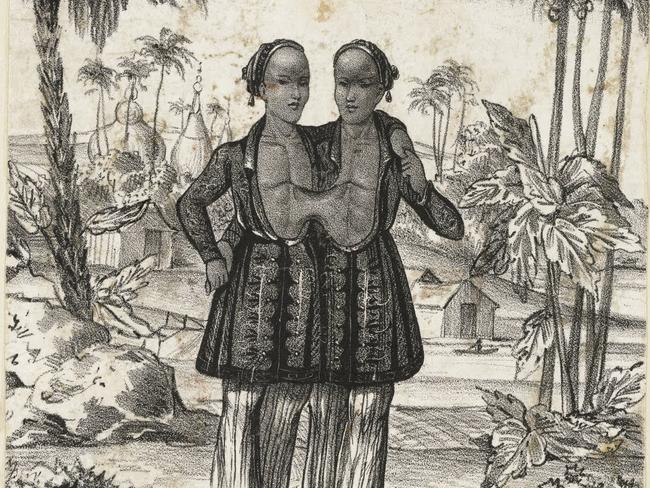 New Book Details The Fruitful Sex Lives Of The Original Siamese Twins