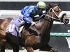 Emerging stayer ready to Rise for Melbourne Cup golden ticket