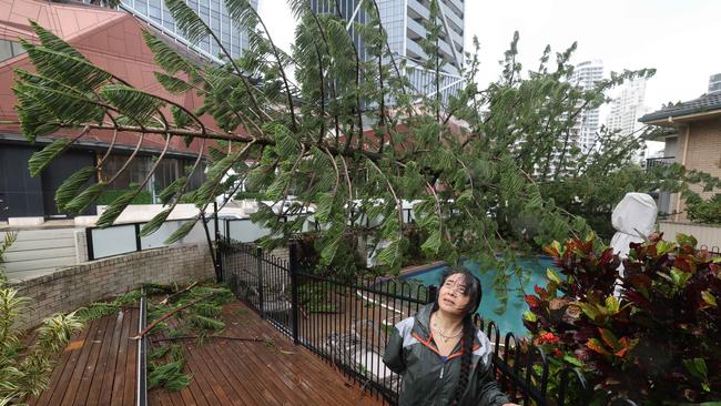 Old Burleigh Rd resident Linda Lee with the Norfolk Pine over her pool: “The wind was so loud we didn’t even hear it come down.” Picture Glenn Hampson