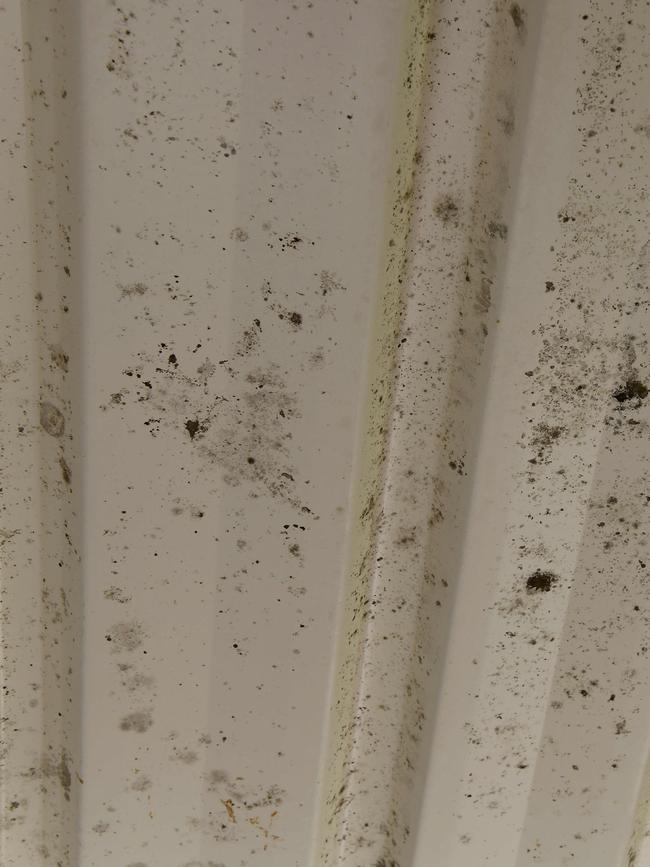 Mould on the underside of Housing Trust tenant Carol Newton’s Semaphore Park home. Picture: Bianca De Marchi