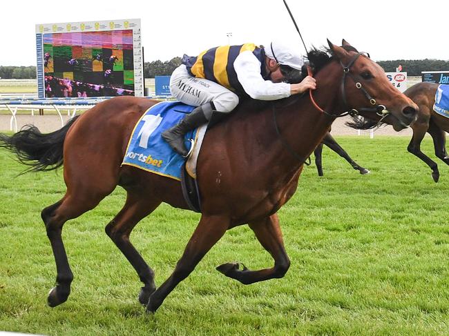 Green Fly (GB) ridden by Ben Melham wins the The Haymarket BM84 Handicap  at Ballarat Racecourse on November 19, 2022 in Ballarat, Australia. (Photo by Reg Ryan/Racing Photos via Getty Images)