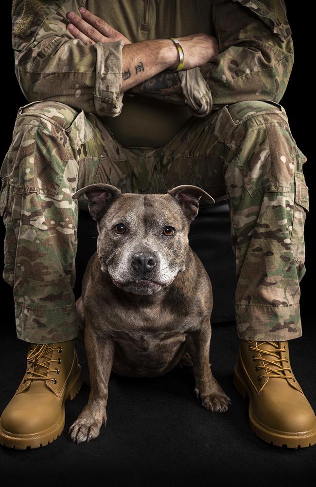 PTSD Dogs Australia is a not-for-profit charity that provides support dogs to veterans suffering from post traumatic stress. Picture: Zoo Studio