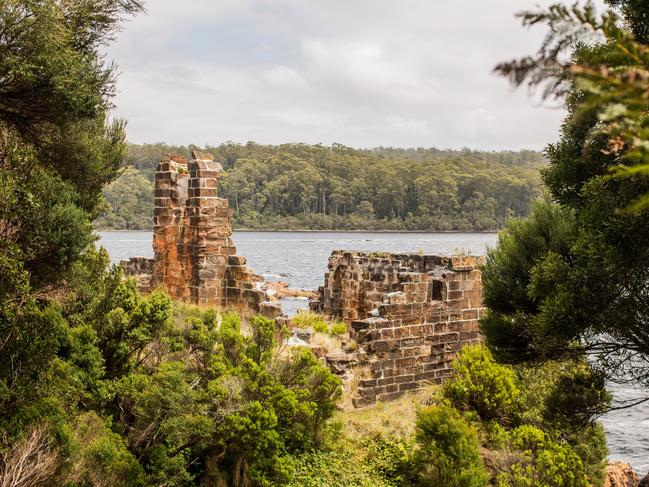 Convict ruins on Sarah Island, near Strahan. Picture: GORDON RIVER CRUISES