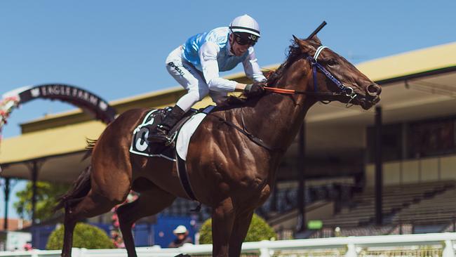 Mishani Epic scored an upset win at Eagle Farm on Saturday. Picture: AAP
