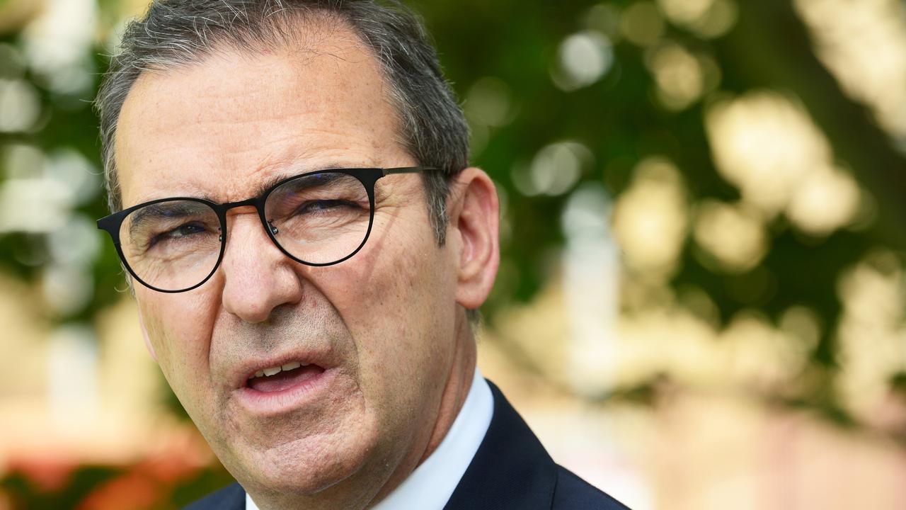 South Australian Premier Steven Marshall said the round eight stimulus package announced on Saturday totalled about $50m. Picture: NCA NewsWire / Michael Marschall