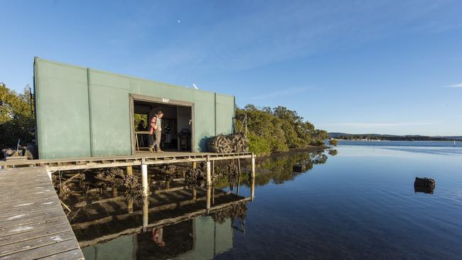 Broken Bay Pearl Farm lodged its DA for a new oyster shed a month after the deadline for finished projects but was successful in securing a grant. It’s DA still has not been approved. Picture: Supplied