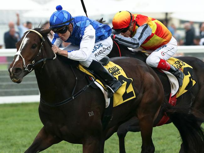 No whip required as Patrick Moloney and Rich Charm motor to victory in VOBIS Golden Sprint. Picture: AAP