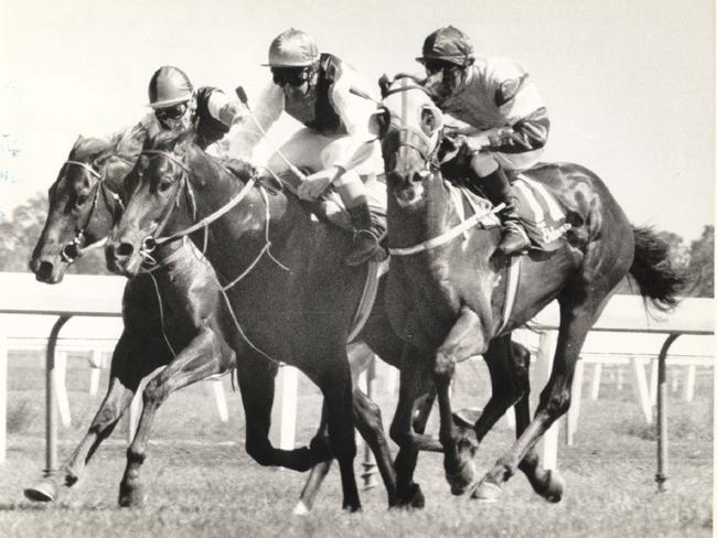 1988 Molokai Prince ridden by jockey  Ron Quinton is bumped by Prince Regent.  PicBarry/Pascoe sport horseracing incident